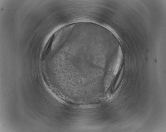 X0000072551142200607281642