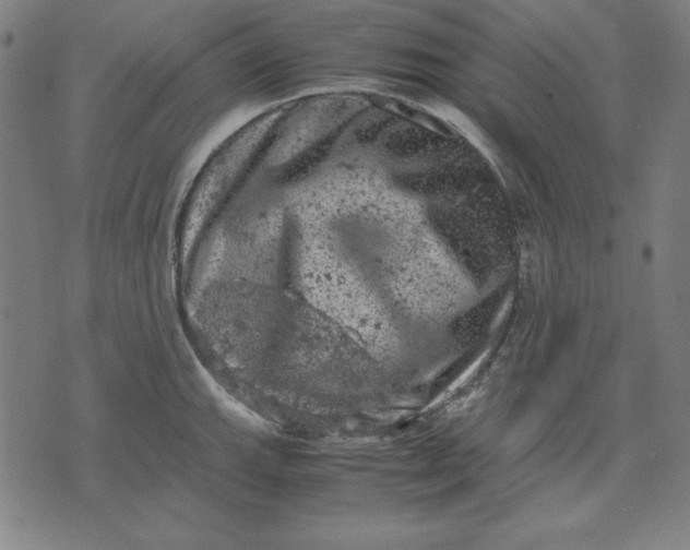 X0000072551143200607281642