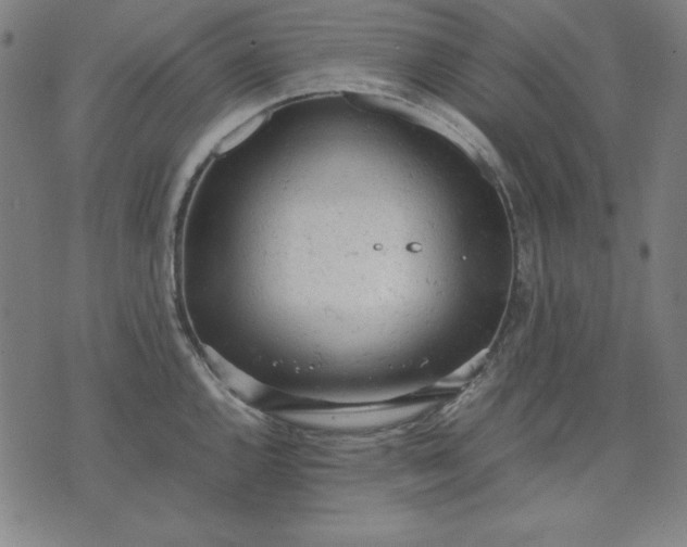 X0000072551144200607281642