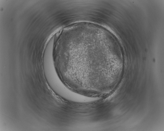 X0000072551145200607281642