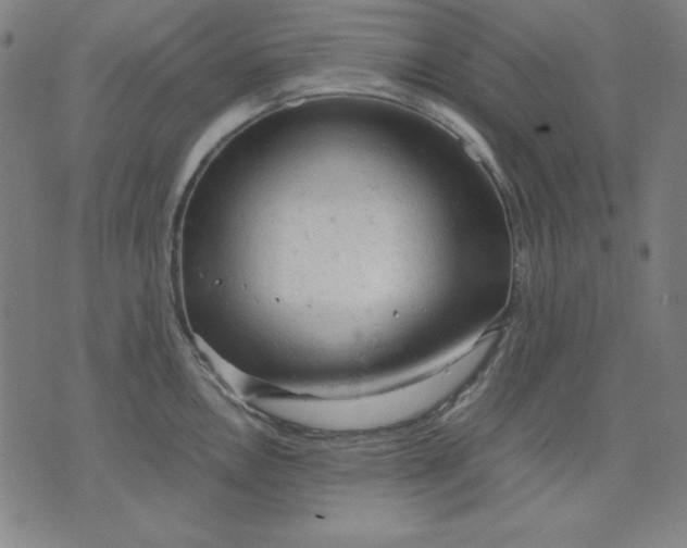 X0000072551146200607281642