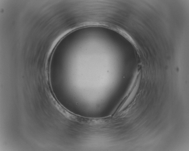 X0000072551148200607281642