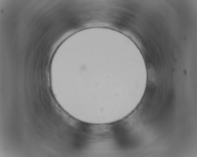 X0000072551150200607281642