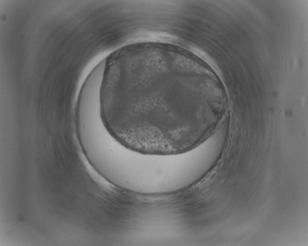 X0000072551152200607281642