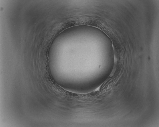 X0000072551153200607281641