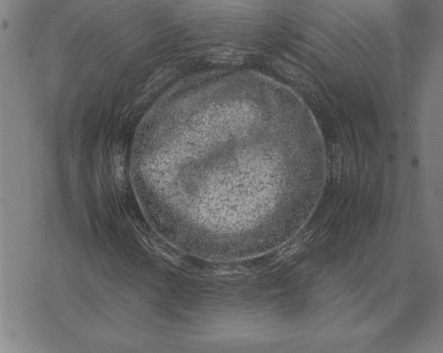 X0000072551154200607281641