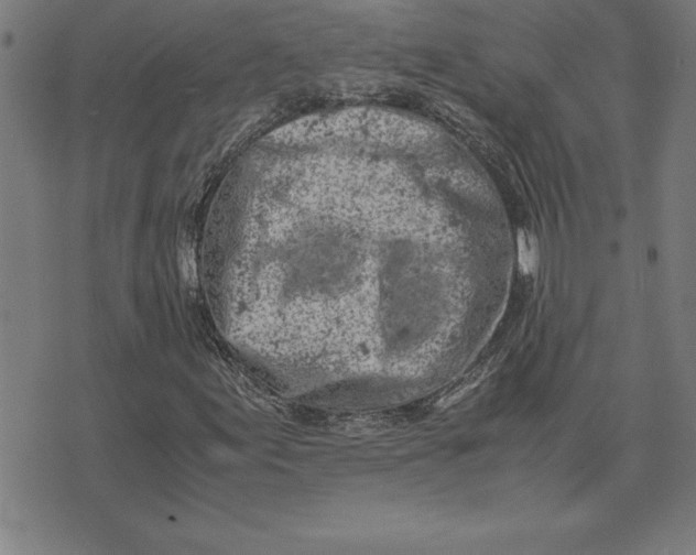 X0000072551155200607281641