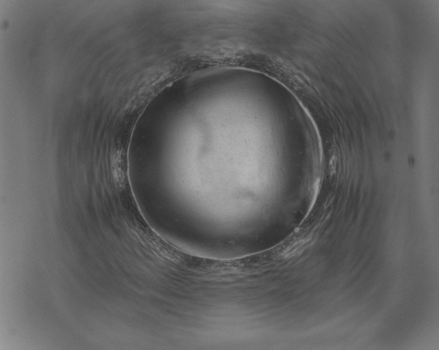 X0000072551156200607281641