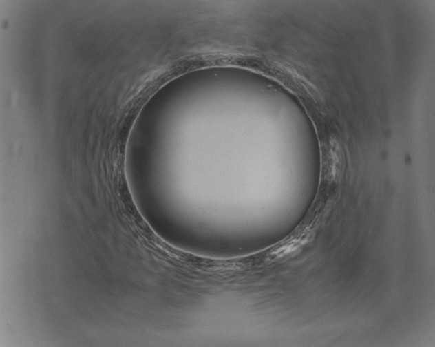 X0000072551157200607281641