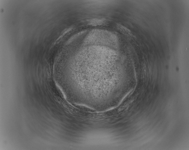 X0000072551158200607281641