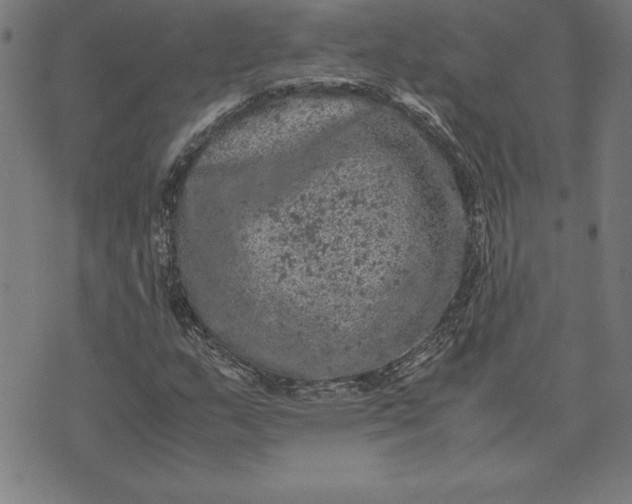 X0000072551159200607281641