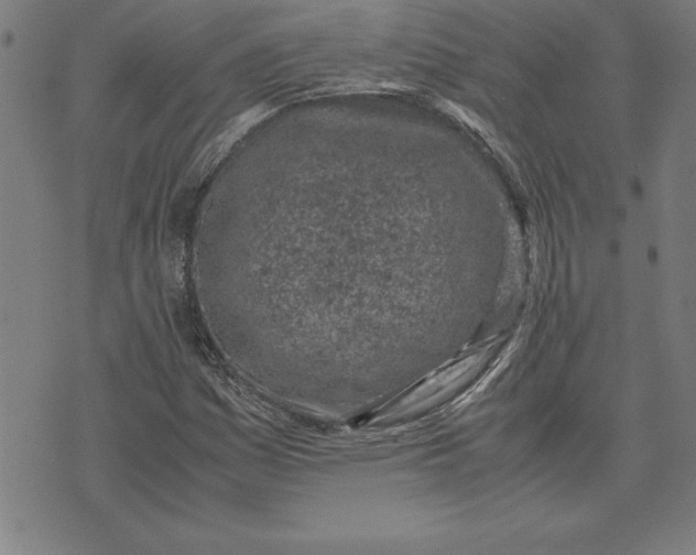 X0000072551161200607281641