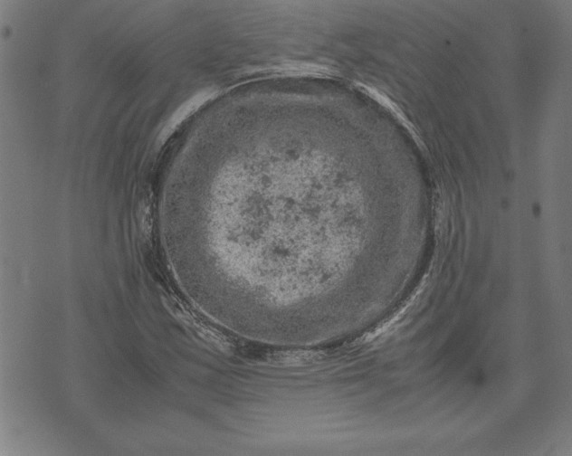 X0000072551163200607281641