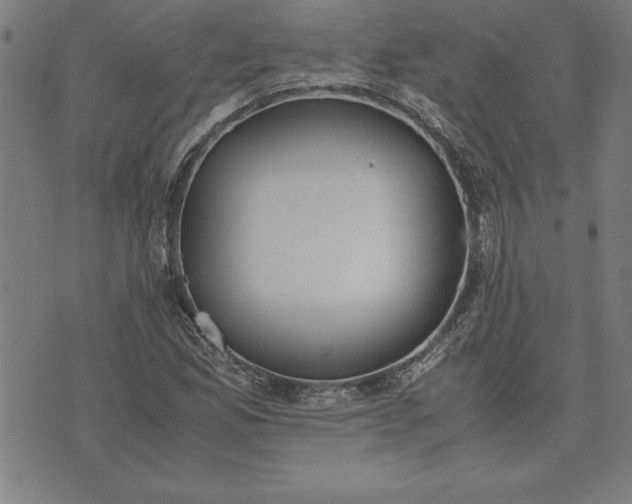 X0000072551165200607281641