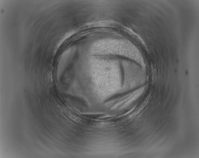 X0000072551166200607281641