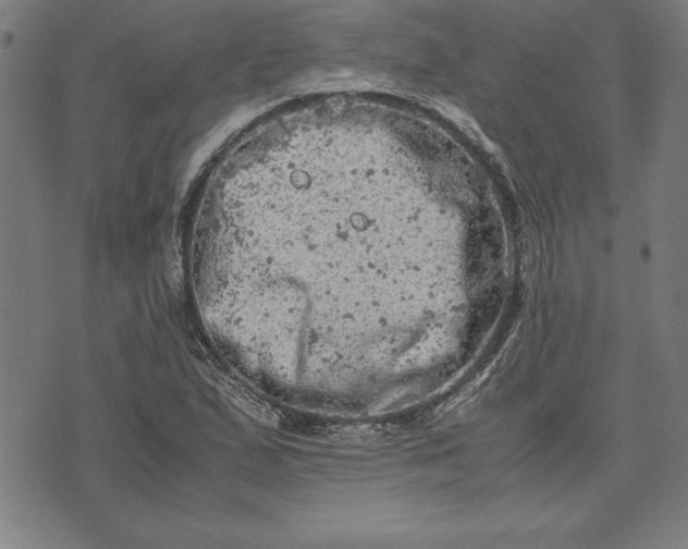 X0000072551167200607281641