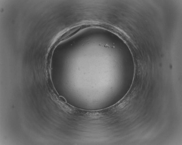 X0000072551168200607281641