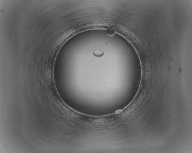 X0000072551169200607281641