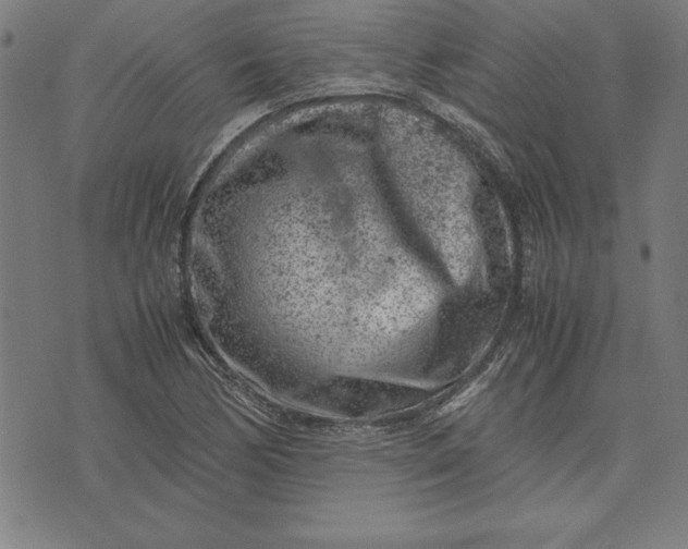 X0000072551170200607281641