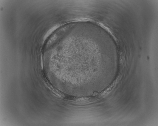 X0000072551171200607281641