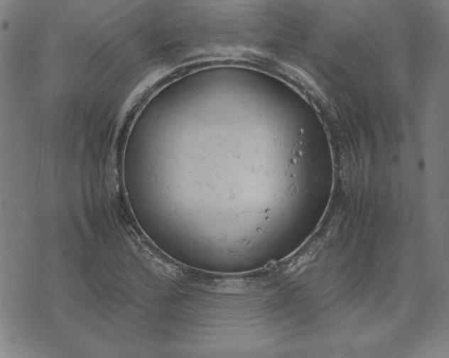 X0000072551172200607281641