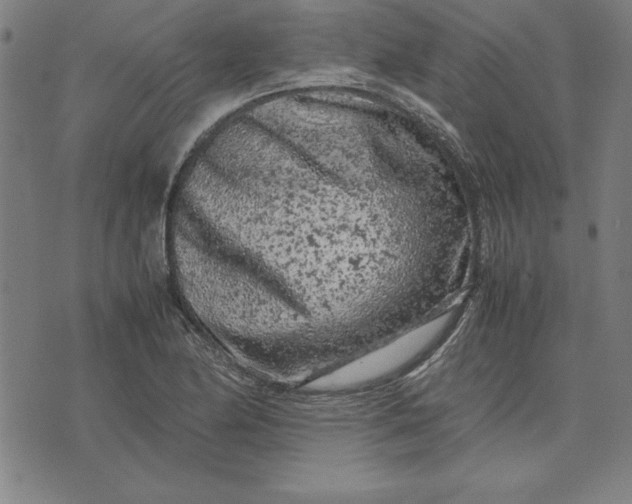 X0000072551174200607281641