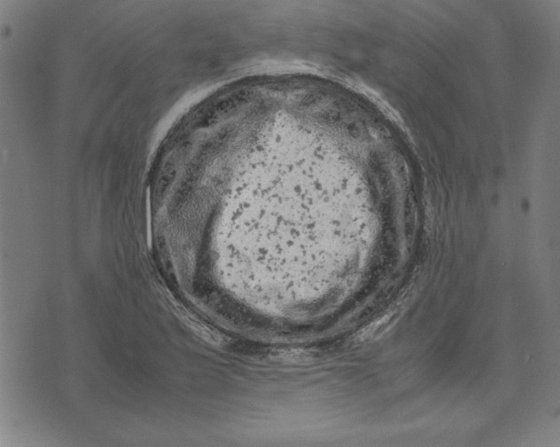 X0000072551175200607281641