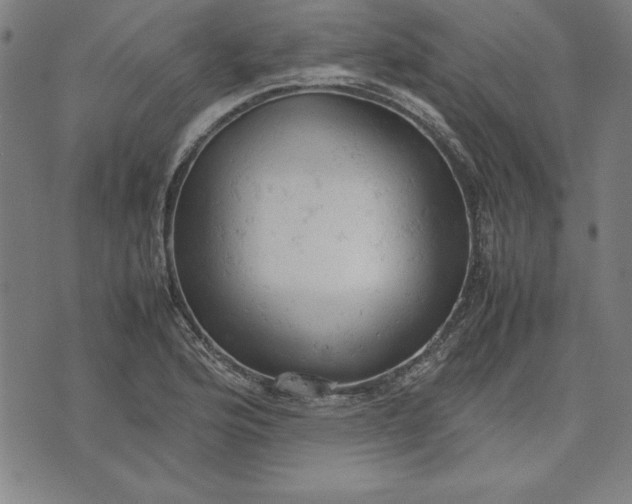 X0000072551176200607281641