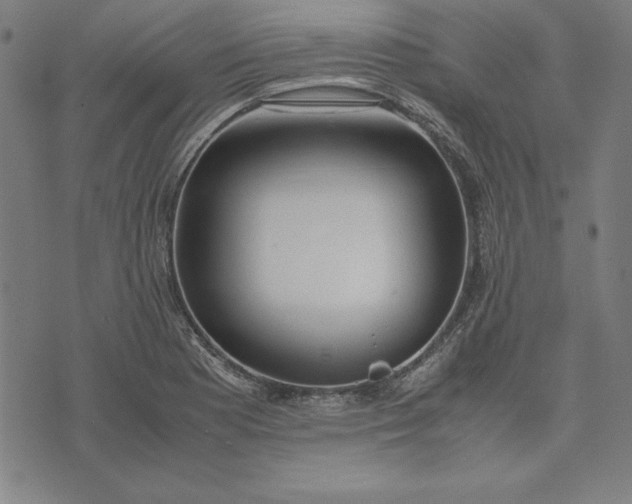 X0000072551177200607281641