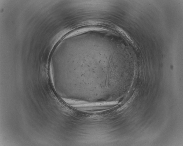 X0000072551178200607281641