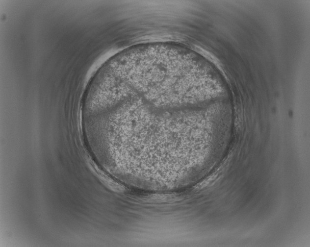 X0000072551179200607281641