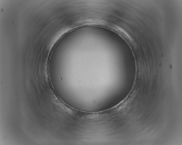 X0000072551182200607281641