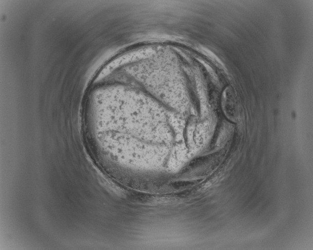 X0000072551183200607281641