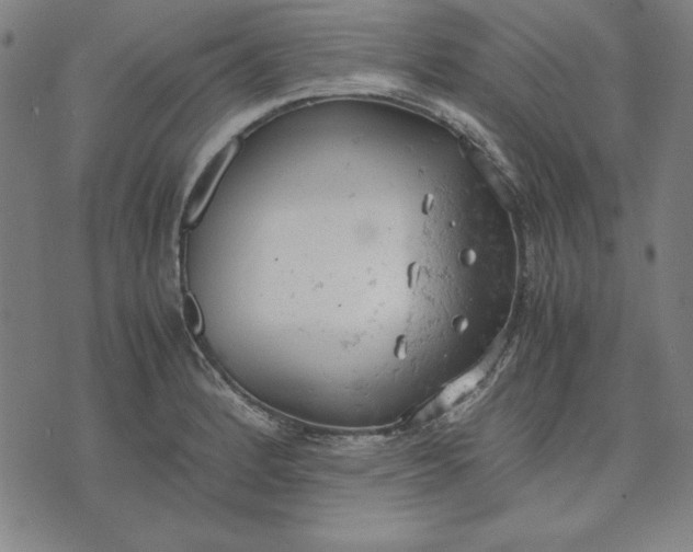 X0000072551184200607281641