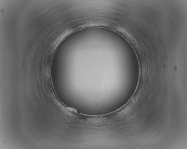 X0000072551185200607281641