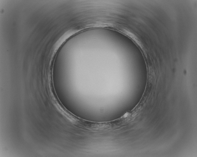 X0000072551187200607281641