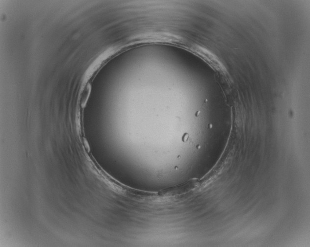 X0000072551188200607281641