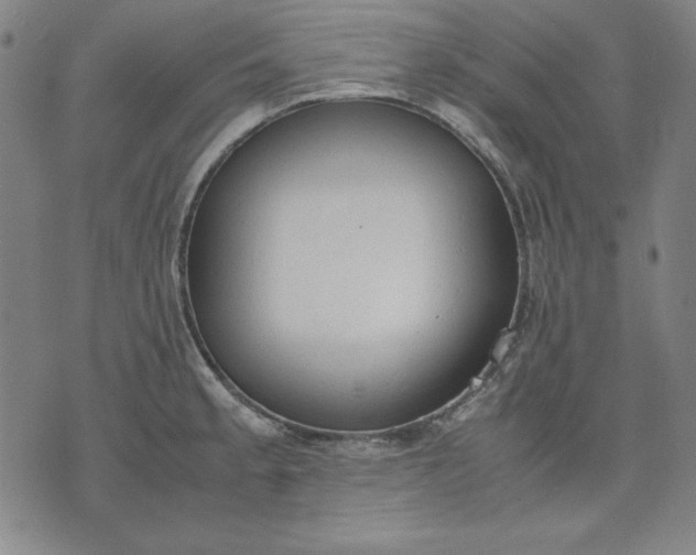 X0000072551189200607281641