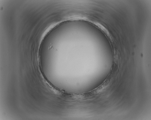 X0000072551191200607281641