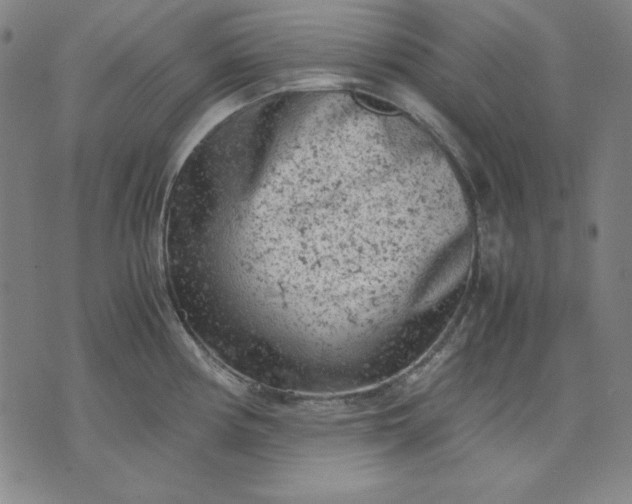 X0000072551194200607281641