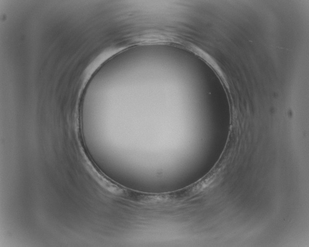 X0000072551195200607281641