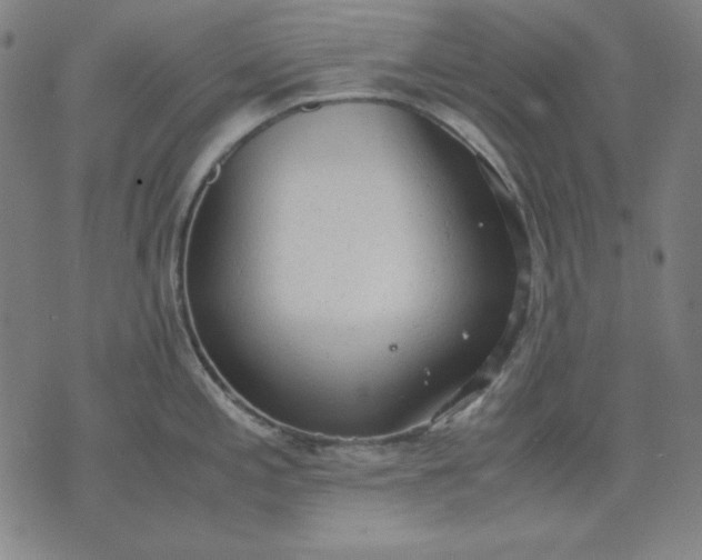 X0000072551197200607281641