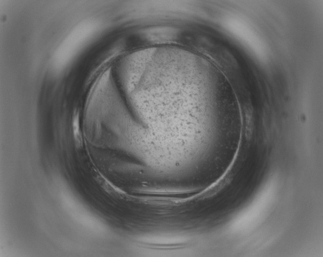 X0000072551198200607281641