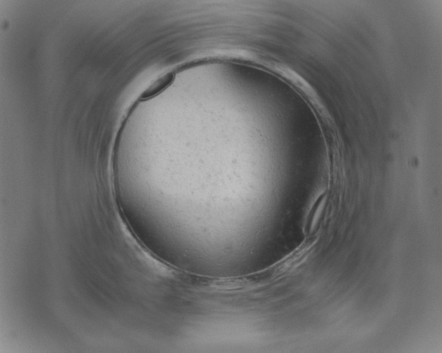 X0000072551199200607281641