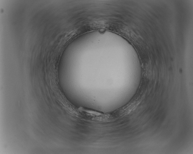 X0000072551201200607281640