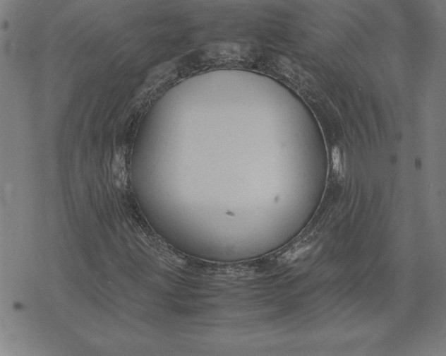 X0000072551203200607281640