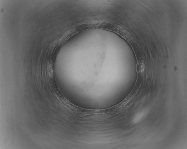 X0000072551204200607281640