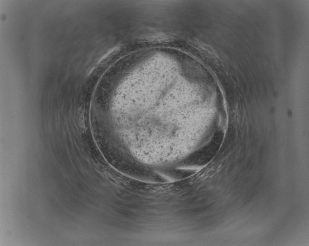 X0000072551205200607281640