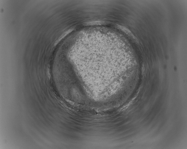 X0000072551209200607281640