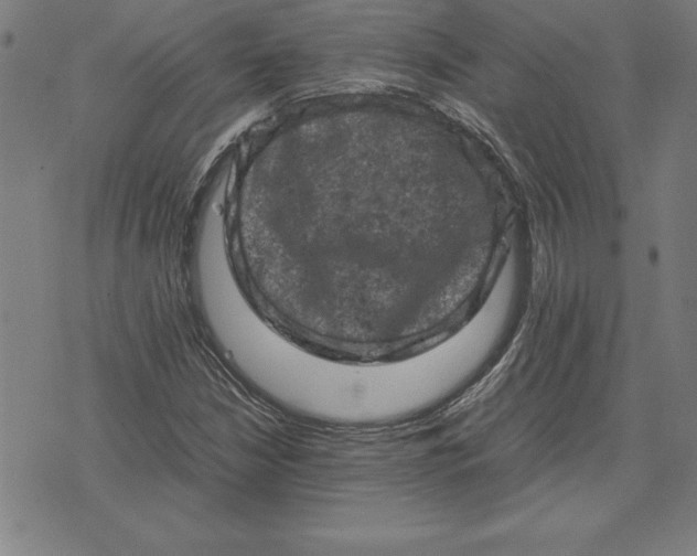 X0000072551210200607281640